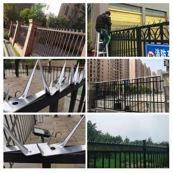 Thickness 1mm 2mm Razor Anti Theft Wall Spikes Electrophoretic