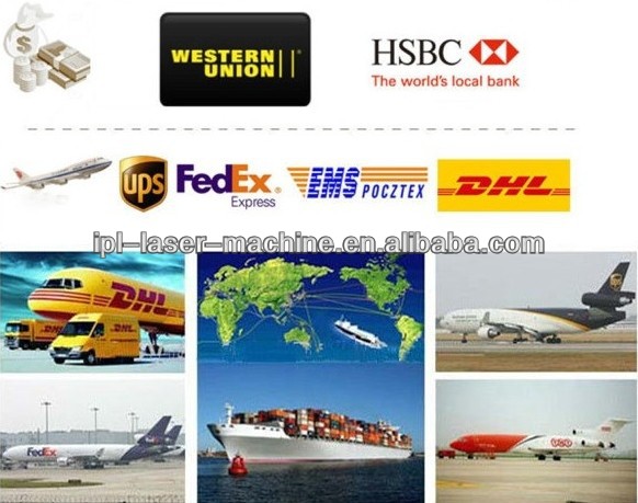 Big promotion in Sep!!! Coolsculpting cryolipolysis weight loss machine for clinic