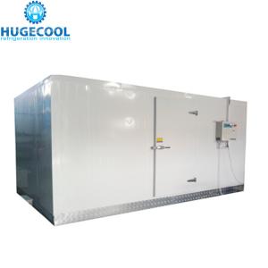 Quality Walk In Chiller Freezer Cold Room 1 Year Warranty With Air Conditioning wholesale