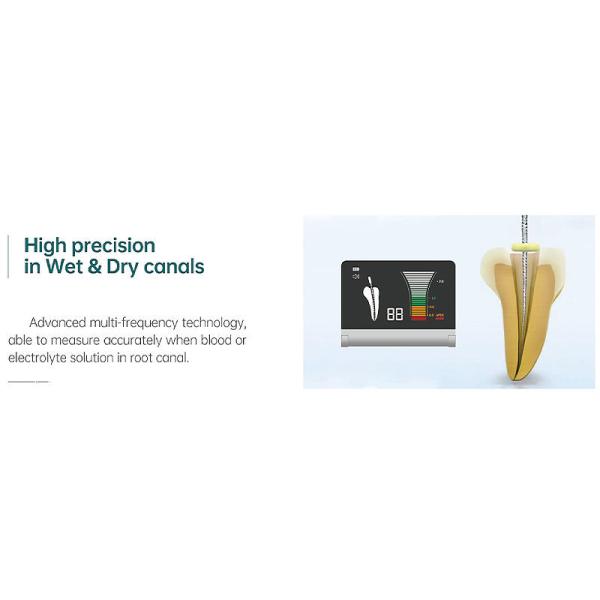 100V-240V Endodontic Motor With Apex Locator , Portable Apex Locator And Endo Motor