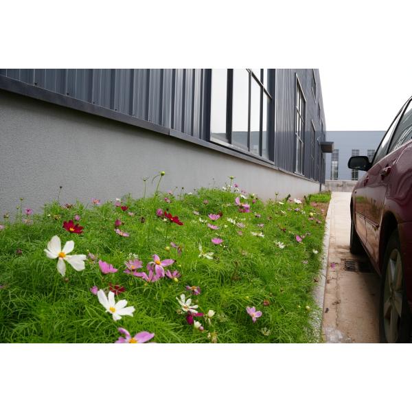 King Size Smart Bed Mattress Back And Leg Up And Down Wireless Control Samrt Phone Control