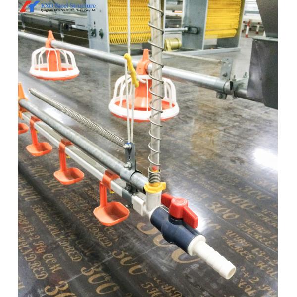 Drinkers Poultry Feeding Line For Broiler Chicken Farm Fully Automatic Animal Feeders Plastic Chicken Feeders And Drinkers