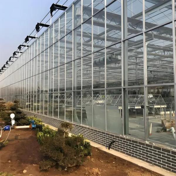 New Products Ultraviolet-Proof Farming Venlo stype greenhouse with hydroponics systems