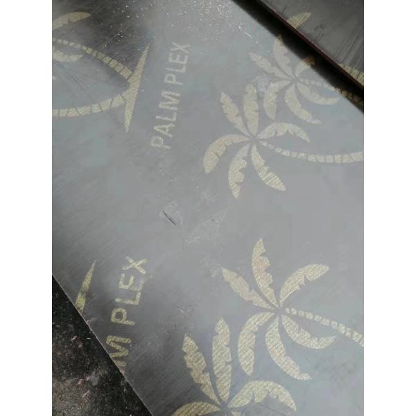 Finger Jointed Core Poplar 20mm Film Faced Plywood