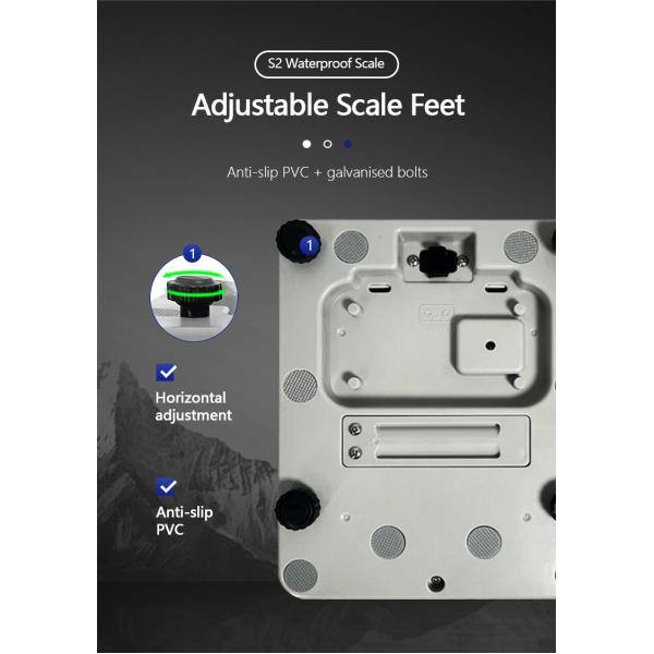 ABS Material 430 Stainless Steel Plate Table Scale for Advanced S2 Waterproof Electronic