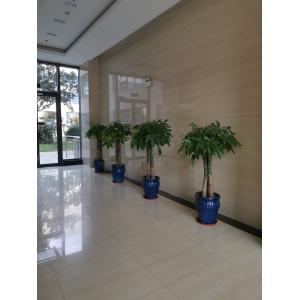 Changzhou Pengyi Textile Co., Ltd.