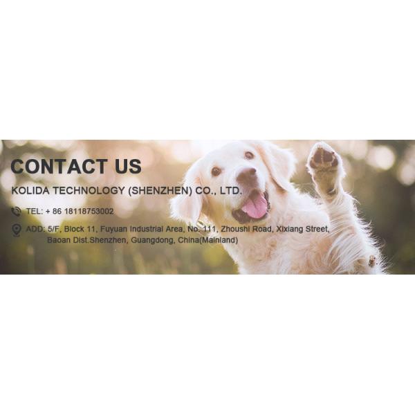 High Visibility LED Dog Leash For Pet Safe And Night Walking Eco Friendly