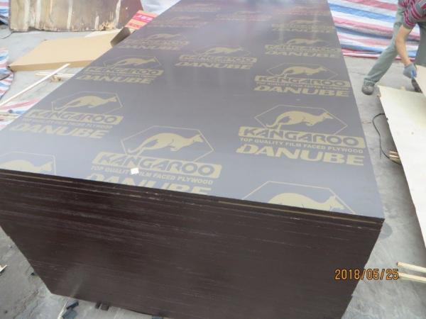 Cheap Building Materials kangaroo brand plywood for Pakistan,karachi for sale