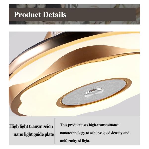 4 Blades Bladeless Remote Control Ceiling Fan Light 48W 72W