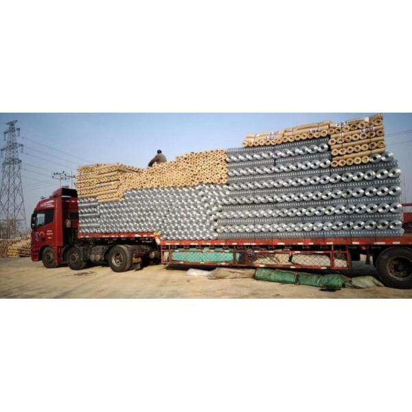 Garden Galvanized Pvc Coated Wire Mesh 30m Length 6 Foot Wire Fence Roll