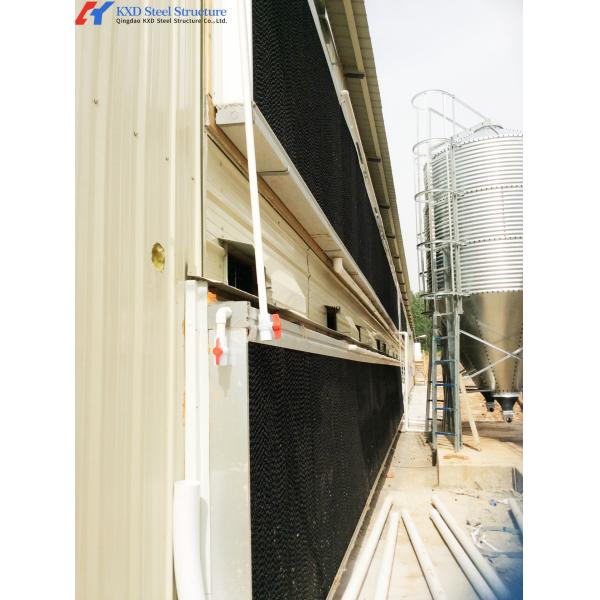 Drinkers Poultry Feeding Line For Broiler Chicken Farm Fully Automatic Animal Feeders Plastic Chicken Feeders And Drinkers