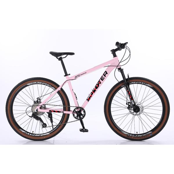 9 10 12 Speed Bicycle Custom Bicicleta OEM Bisiklet XC Mountainbike for Man Alloy Cycle MTB Bike 29 Inch Mountain Bike