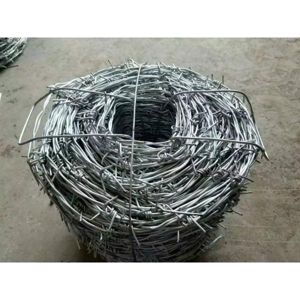 1.6mm Double Electric Concertina Barbed Wire Used For Protective Fence