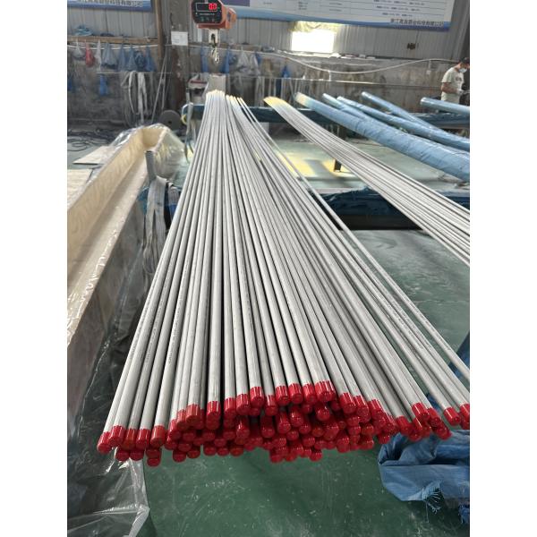 EN 6mm ASTM A790 UNS S31803 304 Seamless Stainless Steel Tubing 316L Seamless