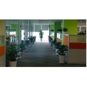 Pan Asia Diesel System Parts Co., Ltd.