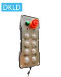 China Eight-way single speed switch industrial remote control for sale