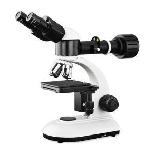 Quality Economic Optical Light Microscope , Monocular Compound Light Microscopy wholesale