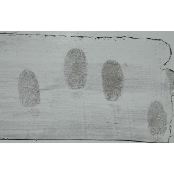 C051 Black adhesive side latent print developer