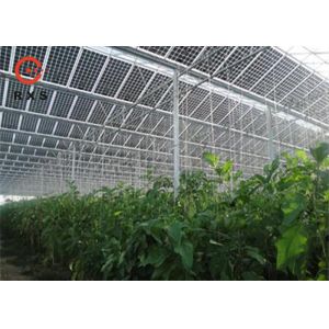 Quality Industrial Monocrystalline Double Glass PV Modules 305W 60 Cells Transparent wholesale
