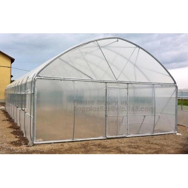 PE protective film customized green house for agriculture anti frost,Venlo Glass Agricultural Green house, SUPPLIES, PAC