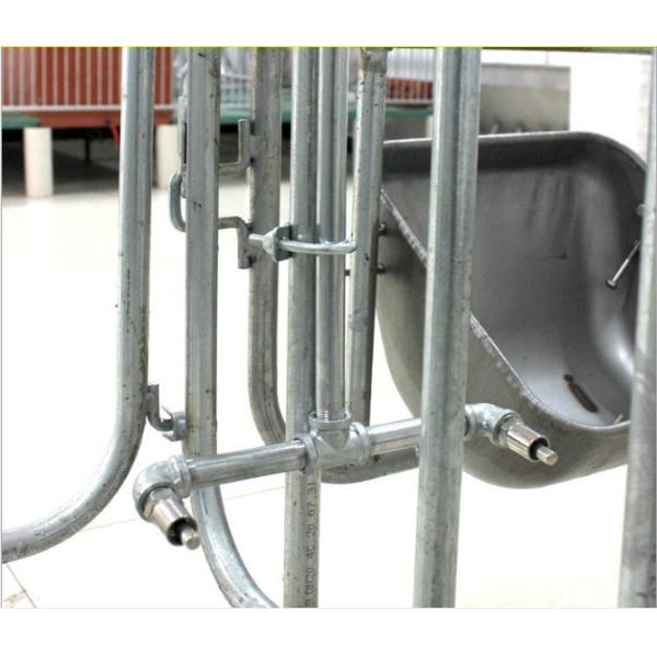 Livestock Farm Water Automatic Nipple Drinker 304 201 Stainless Steel