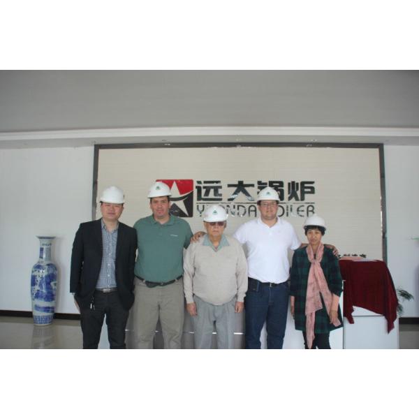 Biomass Pellet Wood Fired Coal Hot Water Boiler With Chain Grate