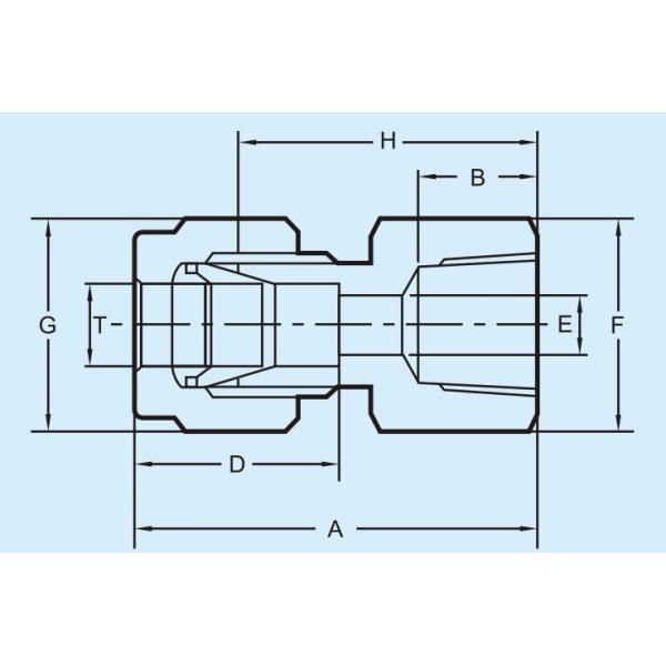 Stainless Steel 316 Forged Pipe Fittings Female NPT Compression Tube fitting