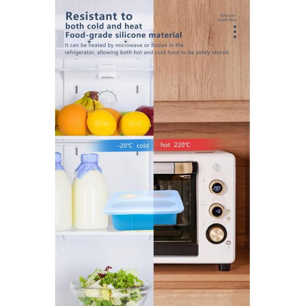 Blue Silicone Divided Snack Box with Lids BPA-Free Leak-Proof Eco-Friendly Microwave Dishwasher Safe for Kids Adults OEM