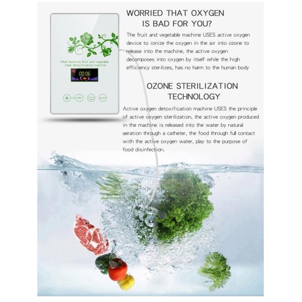 Homefish Glass Panel Portable Fruit Vegetable Sterilizing Intelligent Multifunction Machine 400mg/h Ozone Generator for Kitchen