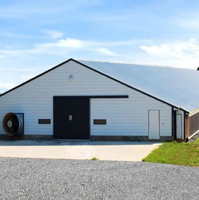 Multifunctional Steel Frame Chicken Coop Lightweight Steel Frame Building Mould Proof