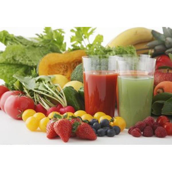 LWS 350 Decanter Centrifuge components