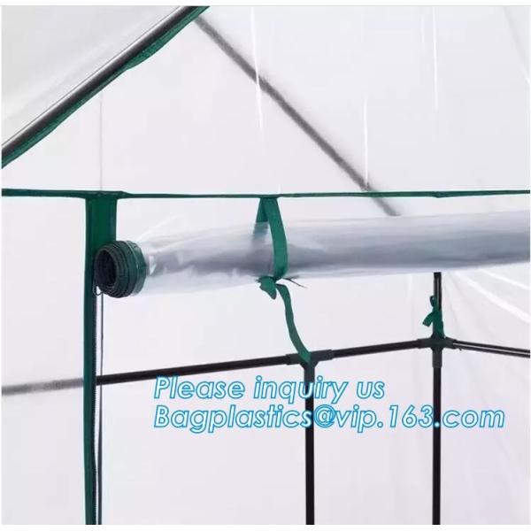 PE protective film customized green house for agriculture anti frost,Venlo Glass Agricultural Green house, SUPPLIES, PAC