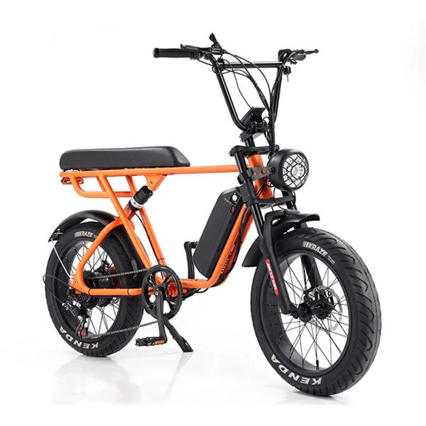 Double Disc Brake 48V 1000W Motor Ebike 20 Inch Electric Fat Tire Bicycle With Kenda Tire