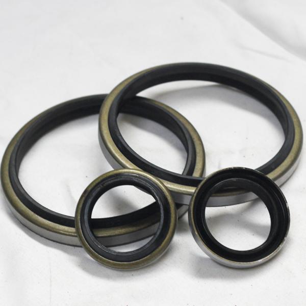 DKB Hydraulic Cylinder Seal 65-79-8/11 Dust-Proof Oil Seal for Agricultural Machinery