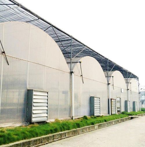 Qingzhou Factory 50inch Electric Centrifugal Exhaust Fan Poultry Push Pull Fan for Farm Industrial Chicken House OEM ODM