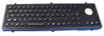 Farsi black panel mount keyboard / illuminated usb keyboard IEC 60512-6