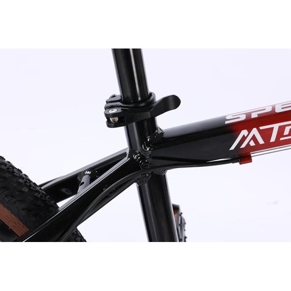 9 10 12 Speed Bicycle Custom Bicicleta OEM Bisiklet XC Mountainbike for Man Alloy Cycle MTB Bike 29 Inch Mountain Bike