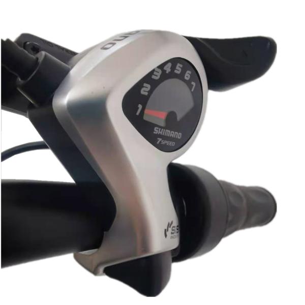 26 Inch Electric Mountain Bikes Lightweight 40mph Full Suspension Mountain Ebike 250w-500w