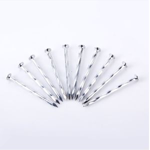 Quality Construction Angular Spiral Concrete Nails P Head Electro Galvanized Finish wholesale