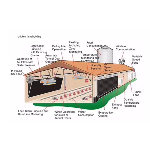 Corrosion Resistance Prefab Poultry House Light Steel Frame Fiberglass Wool Panel