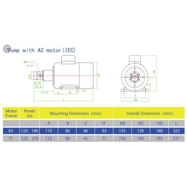 NP42 PEEK Gear SS316 Micro High Pressure Pump Low Flow Rate With O Ring Seal