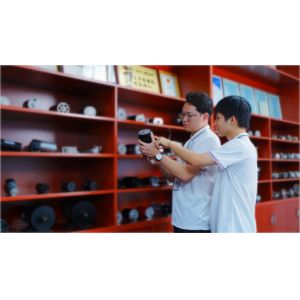 Shenzhen Go-Gold Motor Co., Ltd.