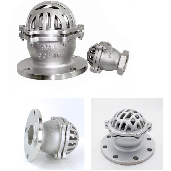 Customized Service WCB Cast Iron Flanged End Foot Valve for Durable and Fluid Control