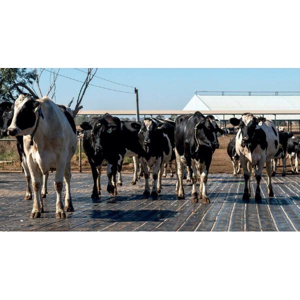 Durable Anti-Slip Rubber Flooring Mat for Stables and Cowsheds