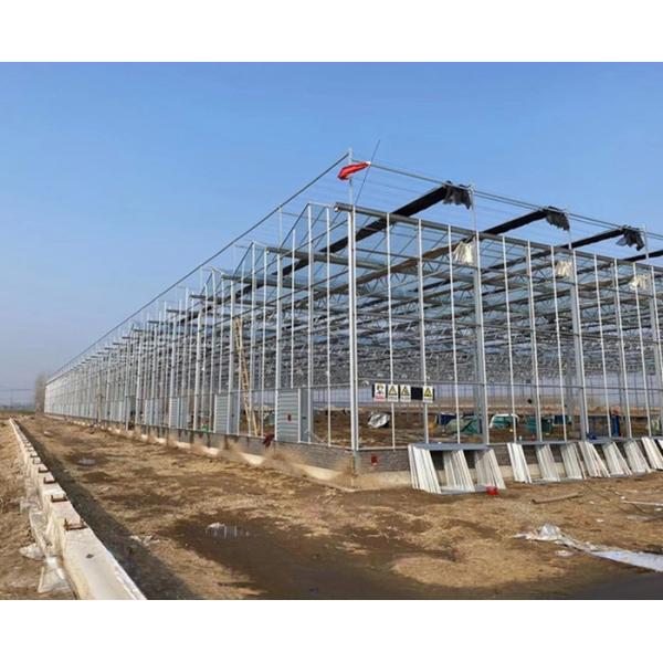 PC Plastic Polycarbonate Sheet Multi Span Hydroponic Greenhouse