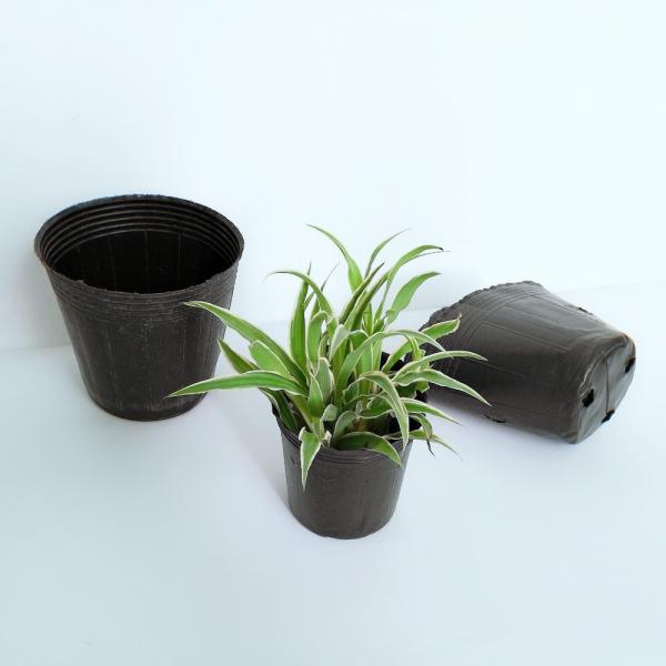 Wholesale Plastic Soft Flower Seeding Pot Nursery Pot