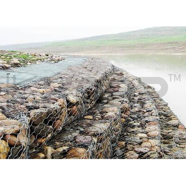 Professional Gabion Wire Mesh Hot Dipped Galvanized PVC Coated Durable Rust Proof