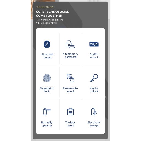 Zinc Alloy Tuya APP Smart Lock Password Keyless Electronic Home Door Lock