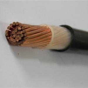 U1000R2V Copper Conductor Low Voltage Power Cable XLPE Insulation PVC Power Cable 16 25 120 Mm2