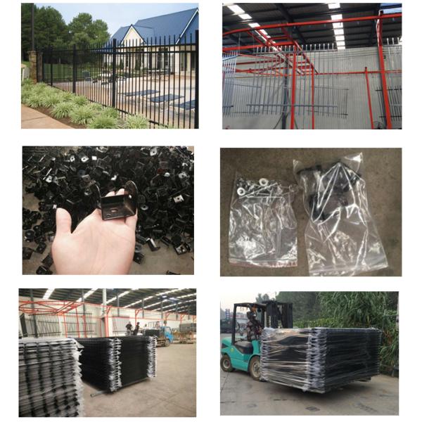 Black Steel Fence For Length 2.5m Width 2.4m Export To Many Countries